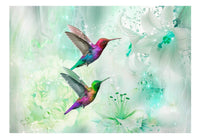 Papier Peint - Colourful Hummingbirds Green 100x70cm - Intissé