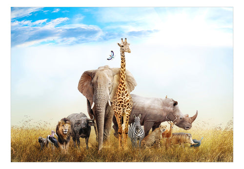 Papier Peint - Fauna of Africa - Intissé