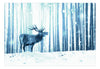Papier Peint - Deer in the Snow Blue - Intissé