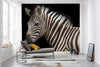 Komar Damara Zebra Papier Peint Intissé 400X280cm 6 pièces ambiance | Yourdecoration.fr