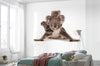 Komar Koala Papier Peint Intissé 300X280cm 6 pièces ambiance | Yourdecoration.fr