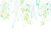 Komar Summer Leaves Intisse Papier Peint 350X250cm 7 Bandes | Yourdecoration.fr
