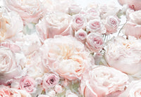 Komar Intisse Papier Peint 8 976 Spring Roses | Yourdecoration.fr