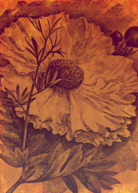 Komar Intisse Papier Peint Inx4 031 Harvest | Yourdecoration.fr
