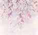 Komar Intisse Papier Peint Inx6 013 Kirschblüten | Yourdecoration.fr