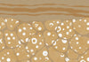 Komar Intisse Papier Peint Inx8 025 Subsoil | Yourdecoration.fr