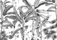 Komar Intisse Papier Peint Inx8 082 Croissances Monochrome | Yourdecoration.fr