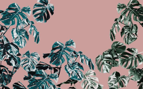 Komar Monstera Rose Papier Peint Intissé 400x250cm 4 bandes | Yourdecoration.fr