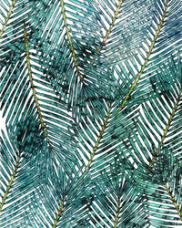 Komar Palm Canopy Papier Peint Intissé 200x250cm 2 bandes | Yourdecoration.fr