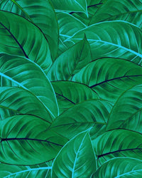 Komar Jungle Leaves Papier Peint Intissé 200x250cm 2 bandes | Yourdecoration.fr