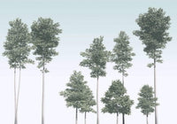 Komar Pines Papier Peint Intissé 400x280cm 4 bandes | Yourdecoration.fr