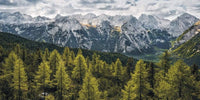 Komar Wild Dolomites Papier Peint Intissé 200x100cm 1 bande | Yourdecoration.fr