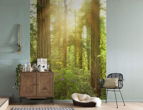 Komar Redwood Papier Peint Intissé 200x250cm 2 bandes ambiance | Yourdecoration.fr