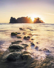 Komar Island Dreaming Papier Peint Intissé 200x250cm 2 bandes | Yourdecoration.fr