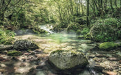 Komar Tranquil Pool Papier Peint Intissé 400x250cm 4 bandes | Yourdecoration.fr