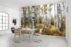 Komar Colorful Aspenwoods Papier Peint Intissé 450x280cm 9 bandes ambiance | Yourdecoration.fr