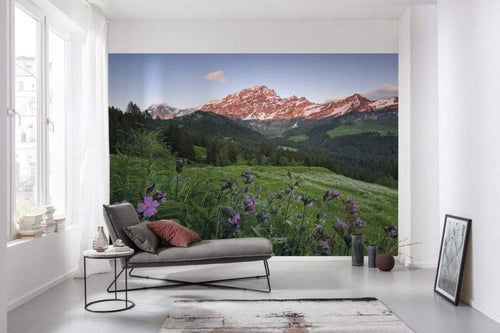 Komar Picturesque Switzerland Papier Peint Intissé 450x280cm 9 bandes ambiance | Yourdecoration.fr