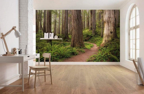 Komar Redwood Trail Papier Peint Intissé 450x280cm 9 bandes ambiance | Yourdecoration.fr